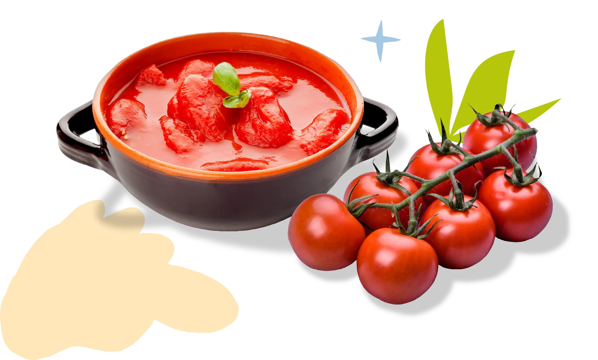 Illustration for the slide tomato